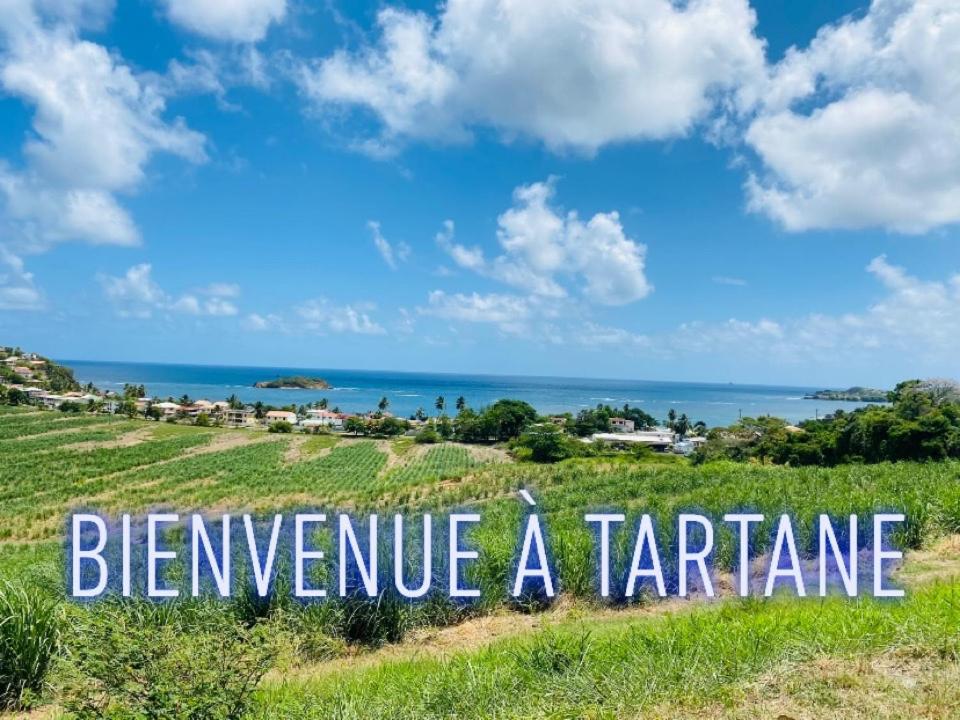 Residence De La Baie - Bleu Soleil Tartane La Trinité Buitenkant foto